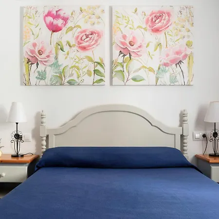 Piso Saturno 1ºd Conil *